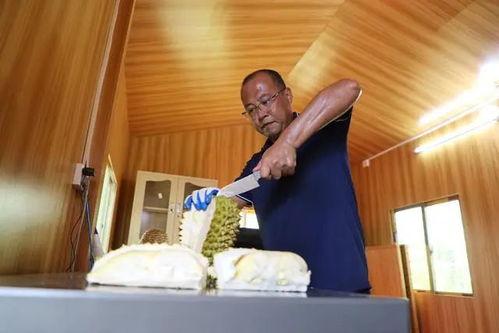 国产熟,匠心独运的味蕾之旅